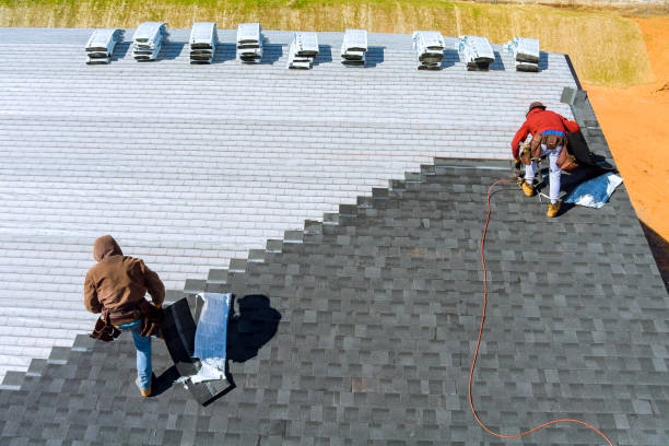 Best Roof Gutter Cleaning  in Quincy, FL
